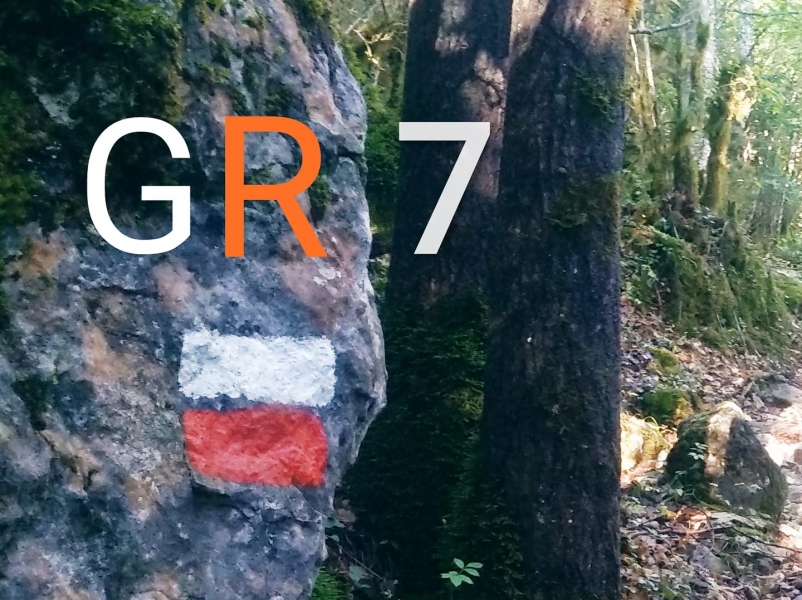 foto-gr7