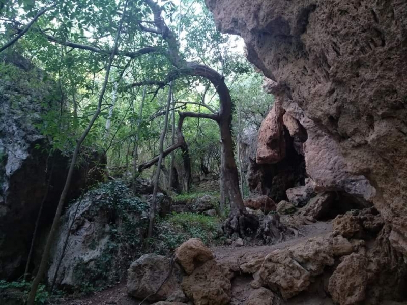 la-cabrenta