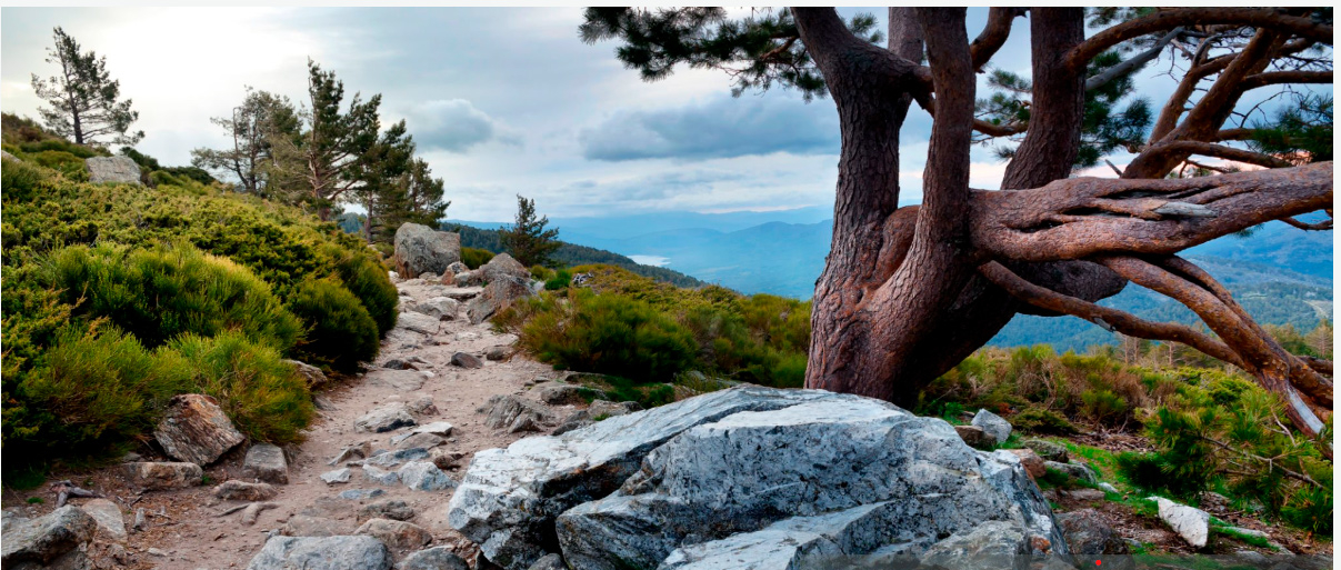 Portada Navacerrada1